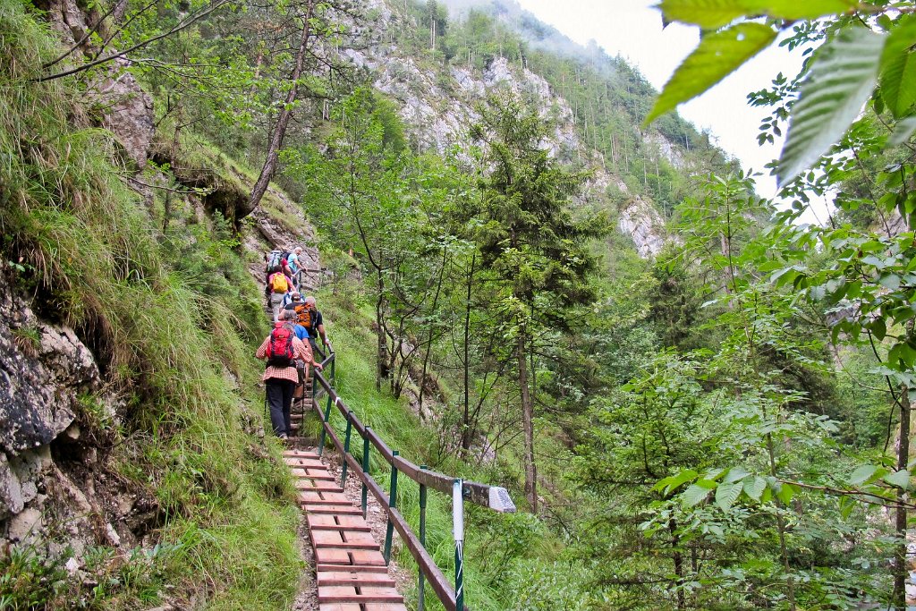 25 die ersten Stege.jpg